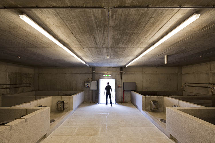 Quinta Do Vallado Winery / Francisco Vieira de Campos