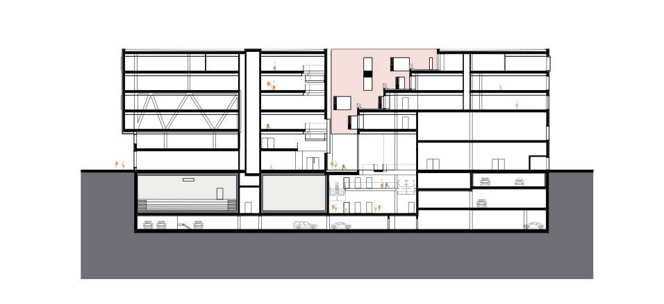 section section