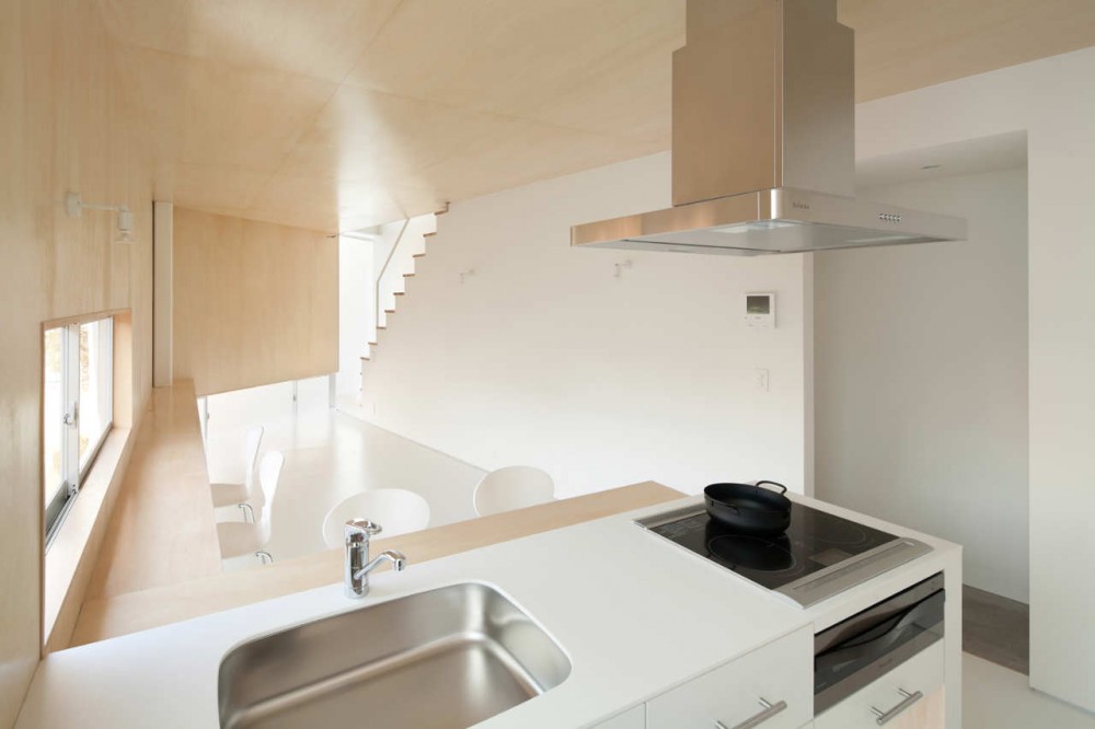 House in Nakameguro / Yoritaka Hayashi Architects