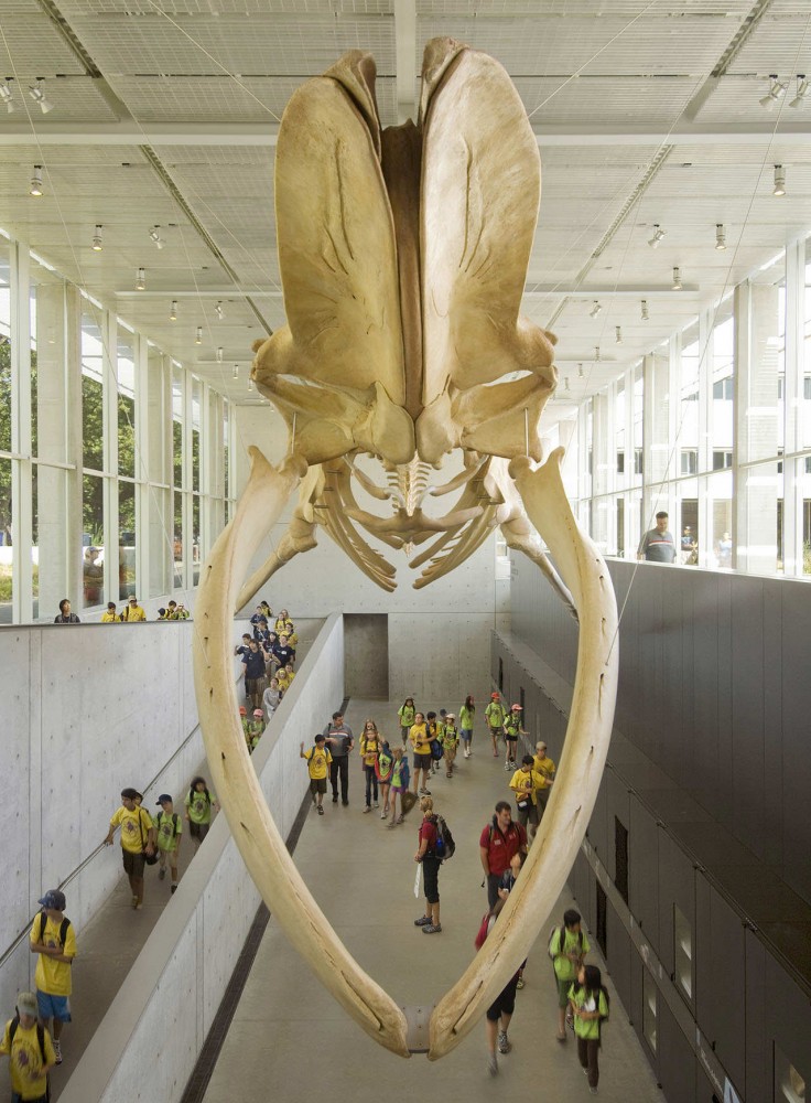 Beaty Biodiversity Centre – Aquatic Ecosystems Research Labor​atory / Patkau Architects