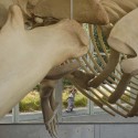 Beaty Biodiversity Centre / Aquatic Ecosystems Research La?atory / Patkau Architects Beaty Biodiversity Centre / Aquatic Ecosystems Research La?atory / Patkau Architects © James Dow