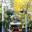 Tetorigarden / Koichi Futatsumata © Shiraki Yoshikazu