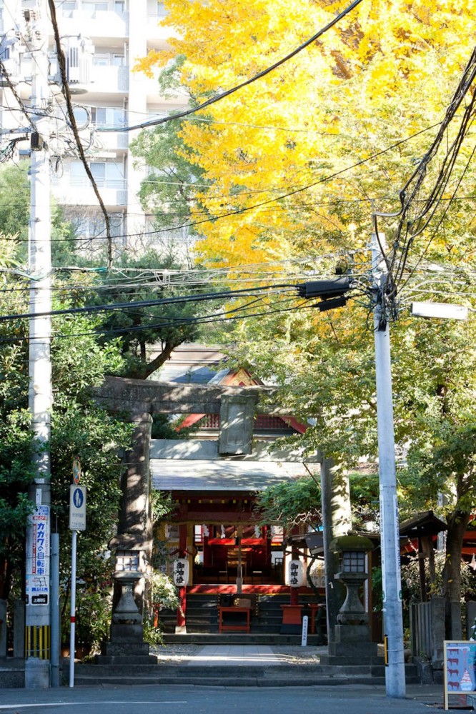 Tetorigarden / Koichi Futatsumata
