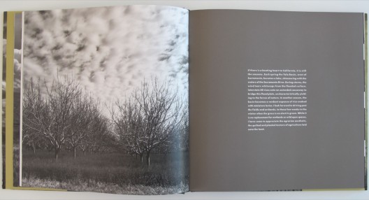 Structures of Utility / David Stark Wilson (3)