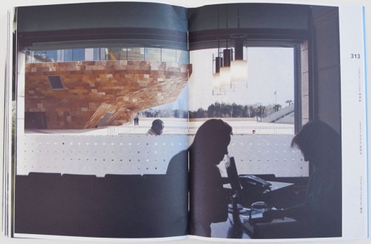 Dutch Mountains / Francine Houben / Mecanoo Architecten (3)
