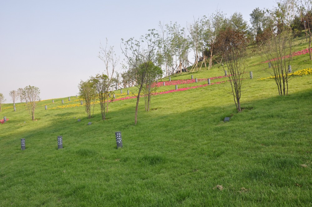 Exclusive Interview: Plasma Studio on Xi’an International Horticultural Expo