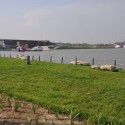 Interview: Plasma Studio on Xi’an International Horticultural Expo (3) Interview: Plasma Studio on Xi’an International Horticultural Expo (3) © Aidan Flaherty
