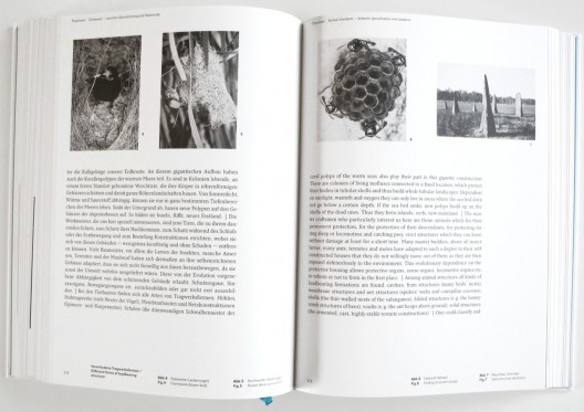 Form Follows Nature / Rudolf Finsterwalder (1)