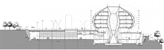 section