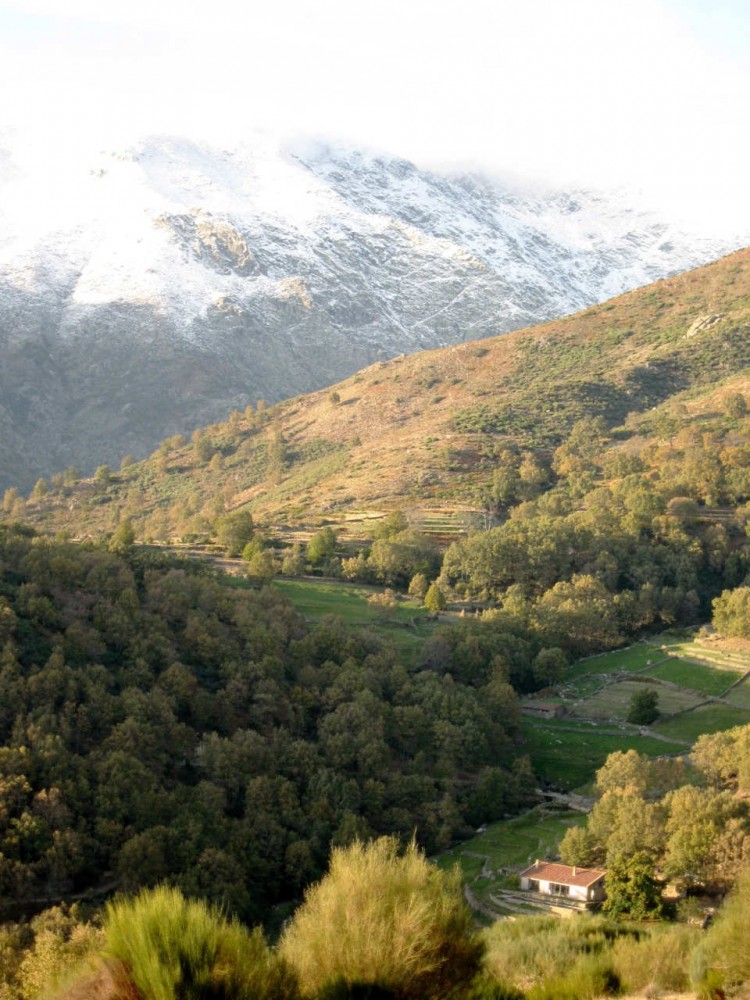 Extremadura