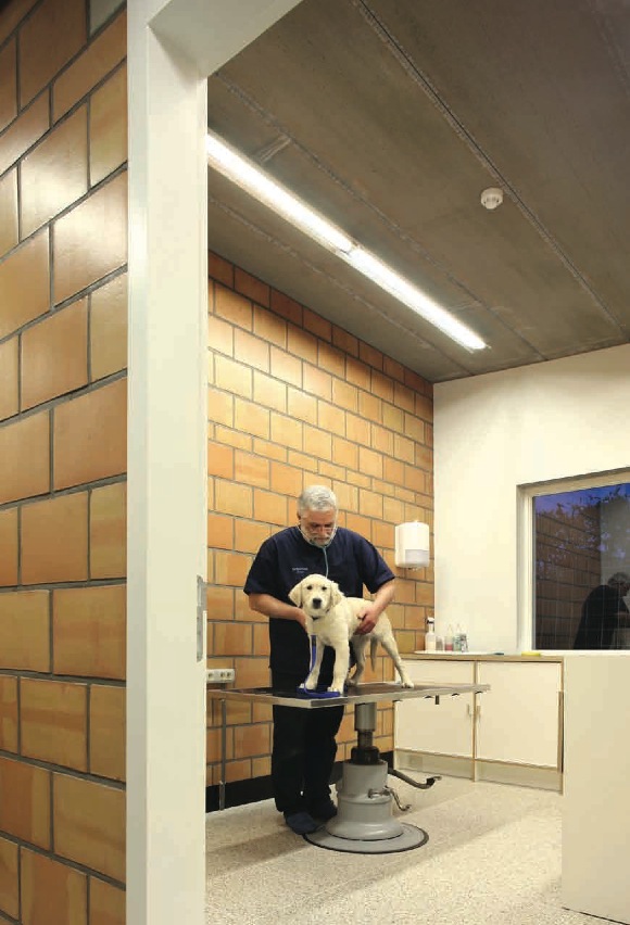 Malpertuus Veterinary Clinic / architecten de vylder vinck taillieu