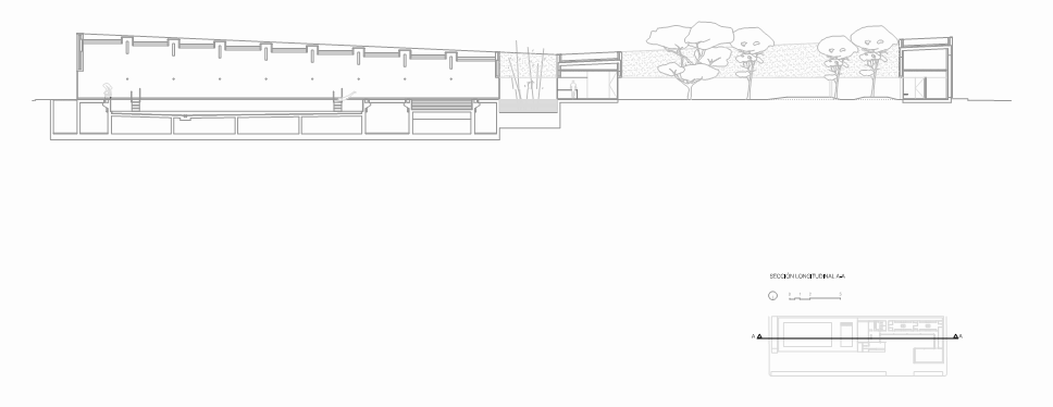 section