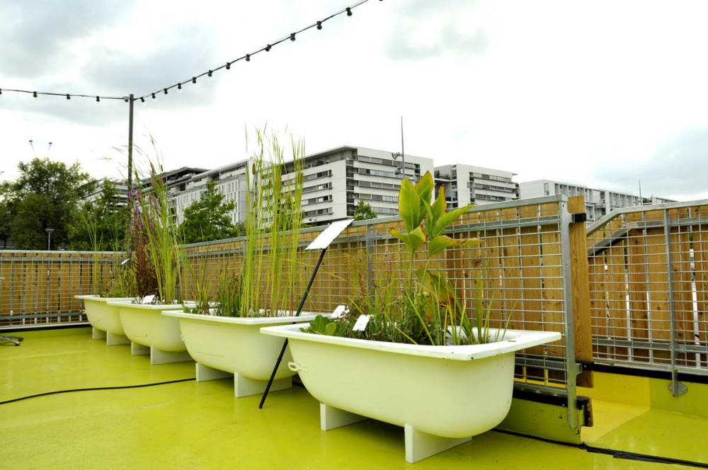 Petit Bain / ENCORE HEUREUX Architectes