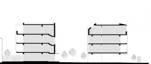 section