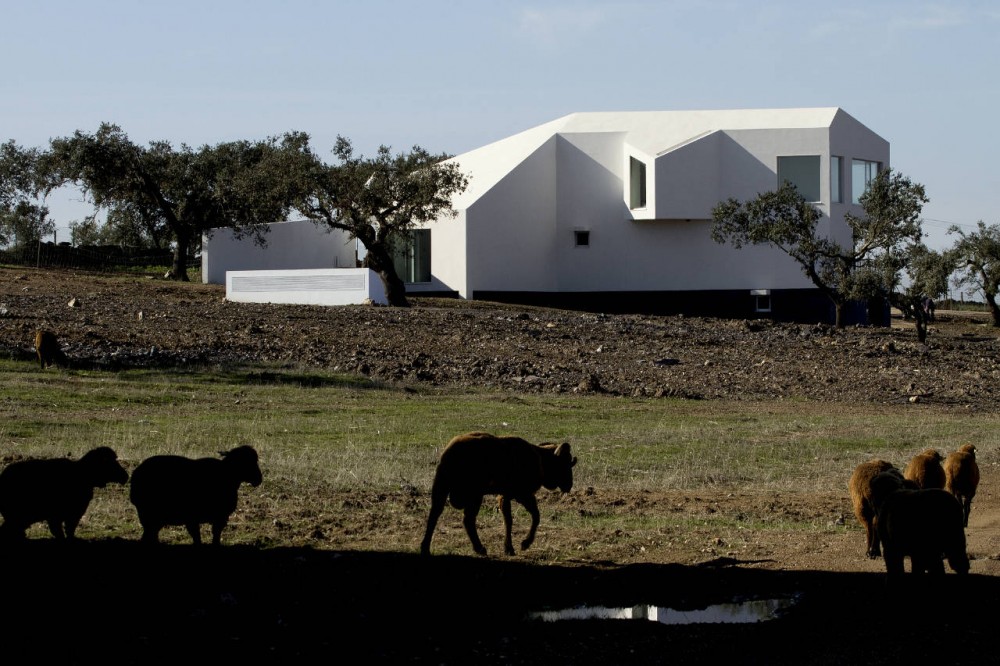 Amareleja Photovoltaic Central / Quadrante Arquitectura