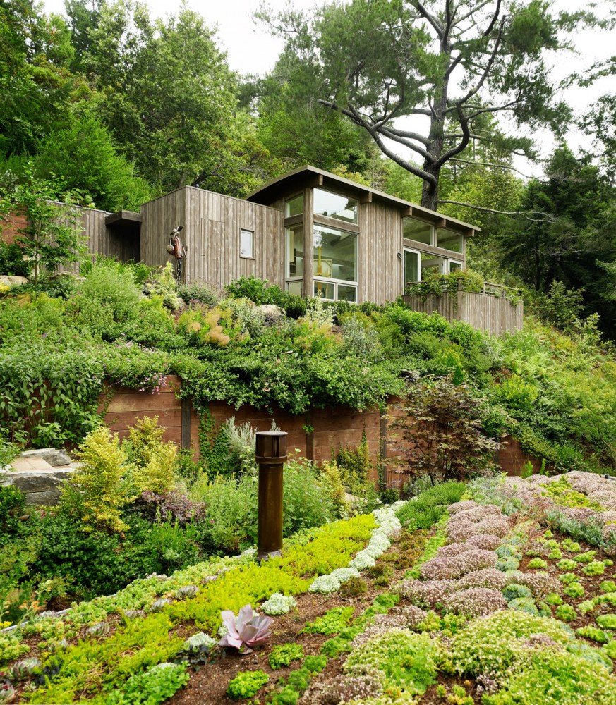 Mill Valley Cabins / Feldman Architecture