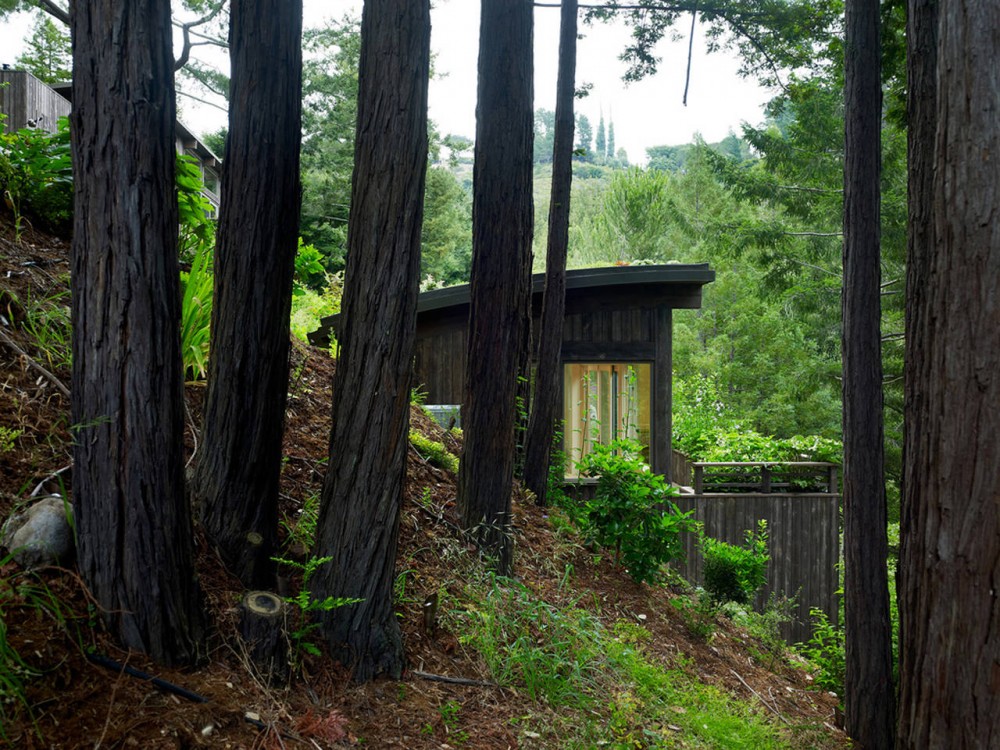 Mill Valley Cabins / Feldman Architecture