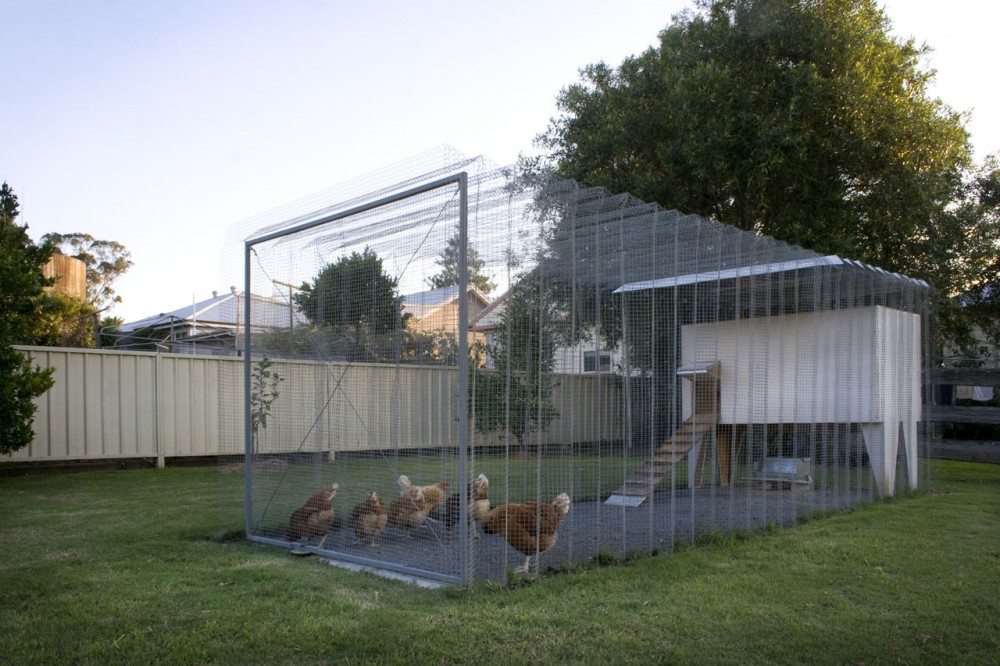 Origami Coop / Chris Mullaney