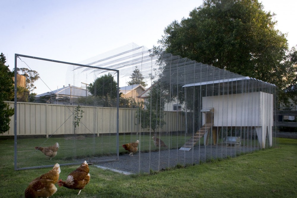 Origami Coop / Chris Mullaney
