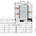 section section
