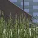 Folger Offices / WA design Folger Offices / WA design © WA design