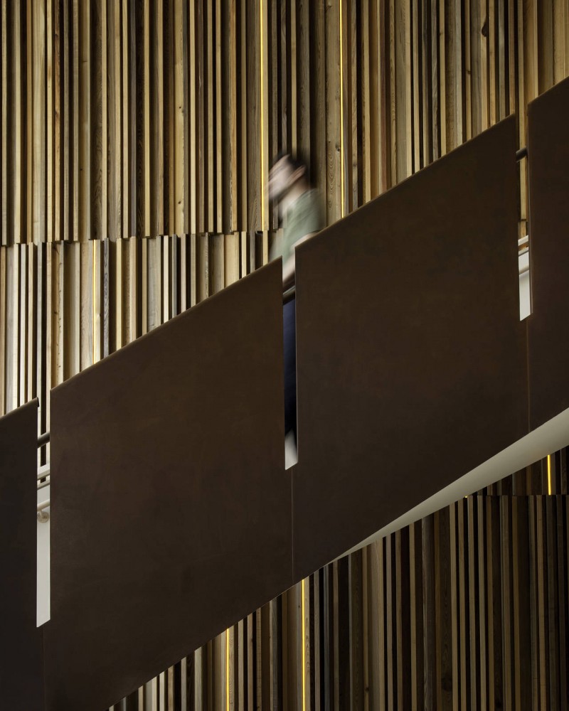Botanical Research Institute of Texas / H3 Hardy C​ollaboration Architecture