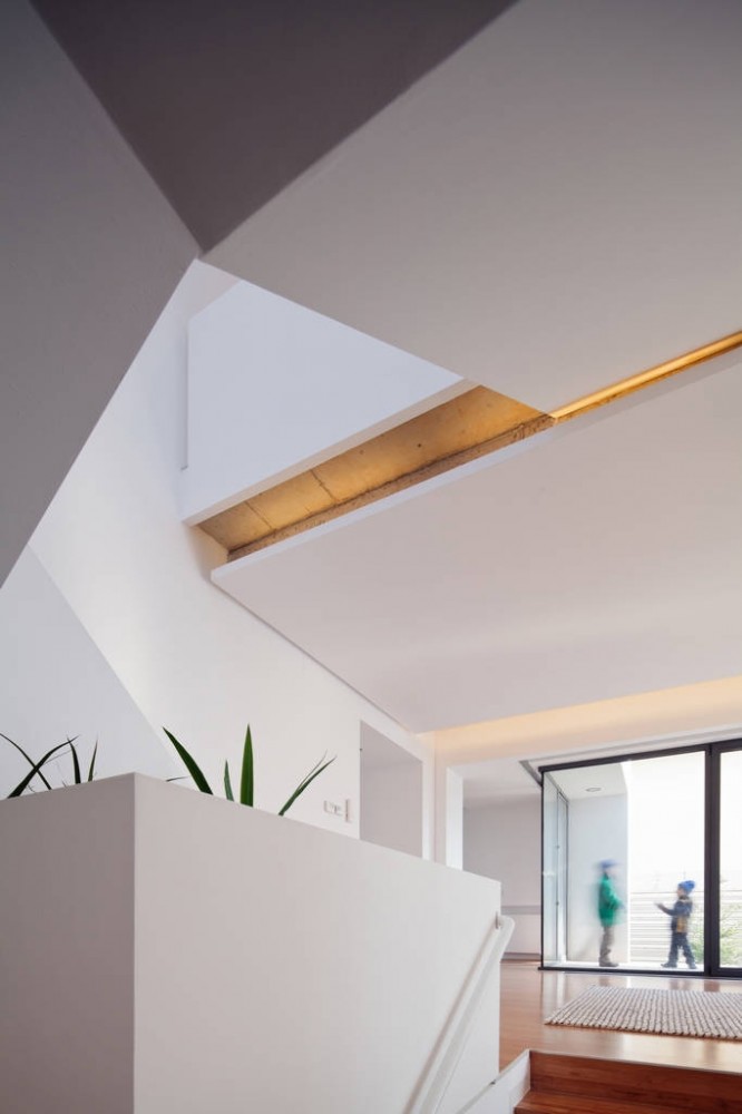 CN House / Plus Line Design