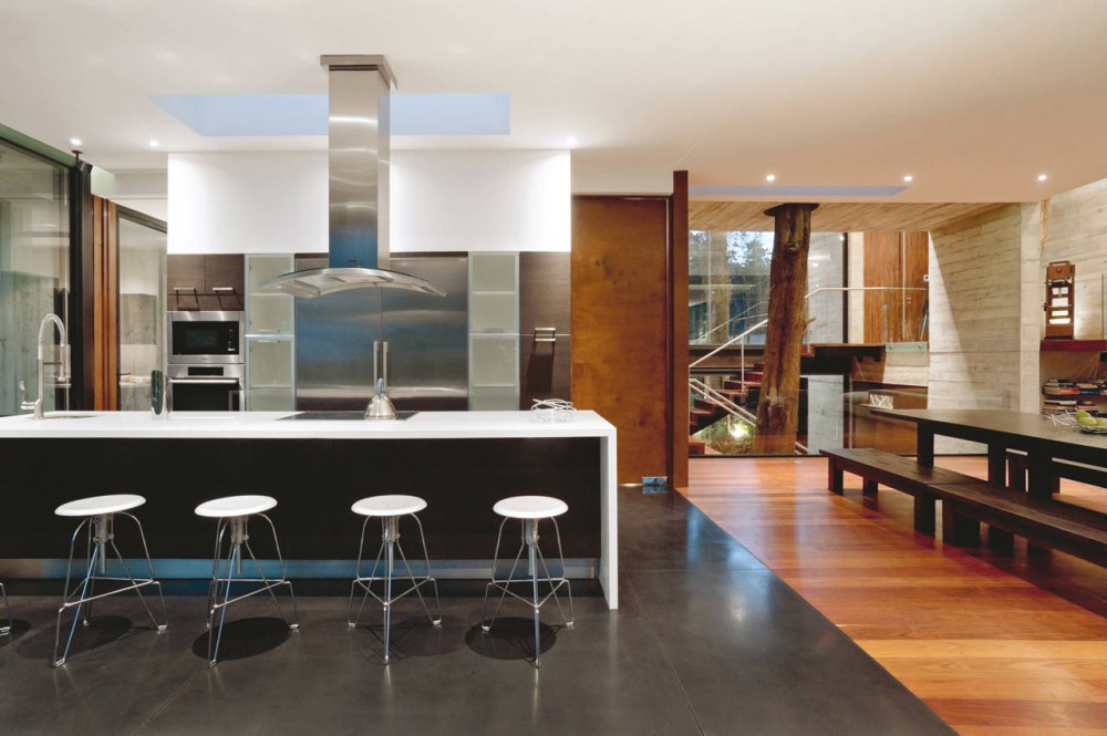 Corallo House / PAZ Arquitectura