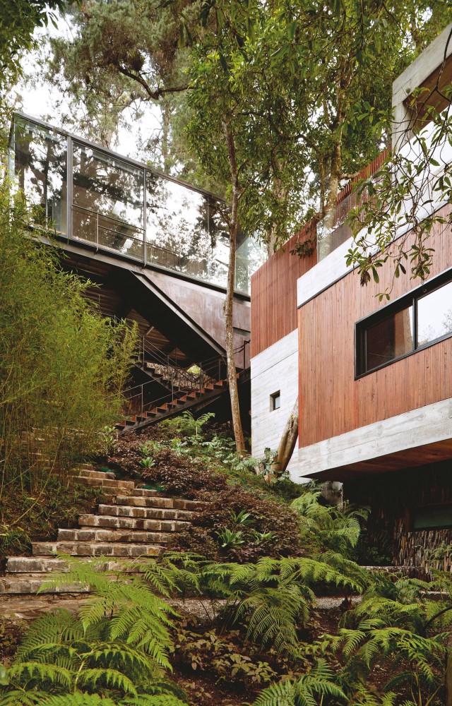 Corallo House / PAZ Arquitectura