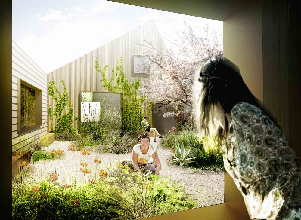 Cancer Counseling Center Proposal / EFFEKT