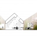 Cancer Counseling Center Proposal (16) section