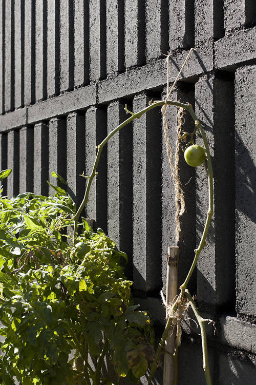 House 804 / H Arquitectes