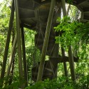 Panama Rainforest Discovery Center / ENSITU Panama Rainforest Discovery Center / ENSITU Courtesy of ENSITU
