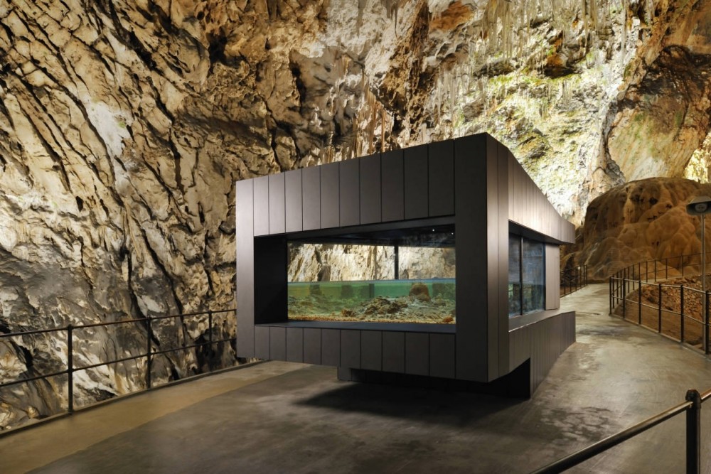 Human Fish Pool in the Postojna Cave / Studio Stratum