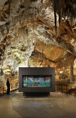 Studio Stratum \ Human Fish Pool In The Postojna Cave