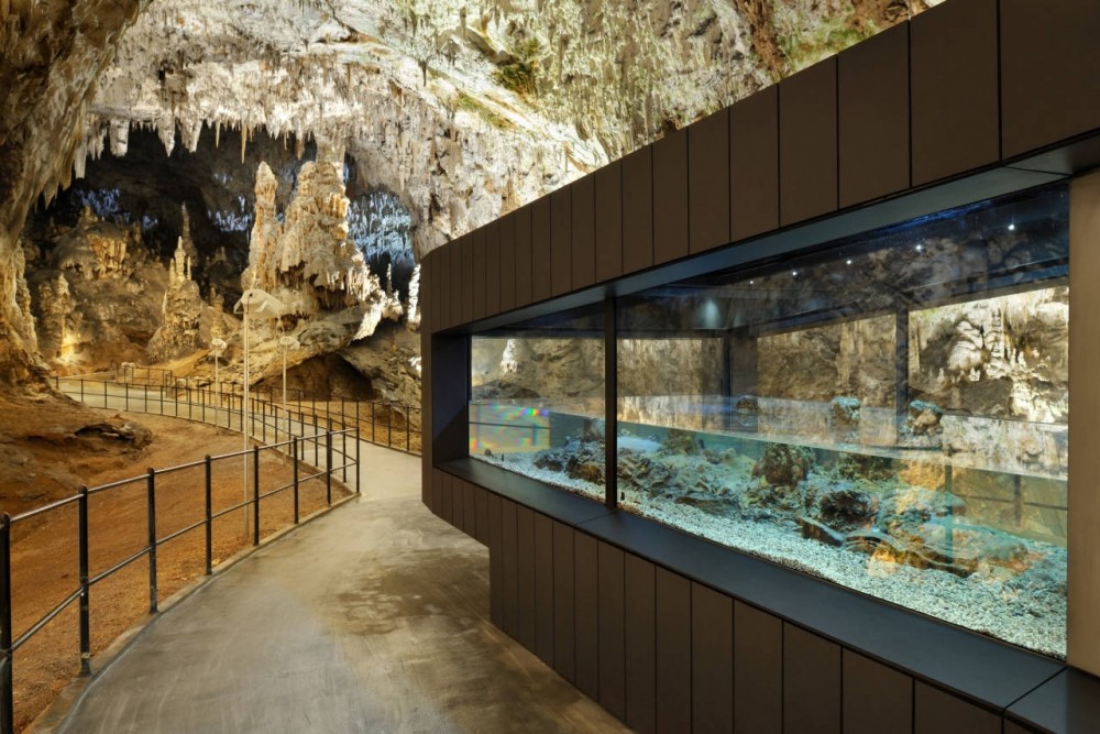Human Fish Pool in the Postojna Cave / Studio Stratum