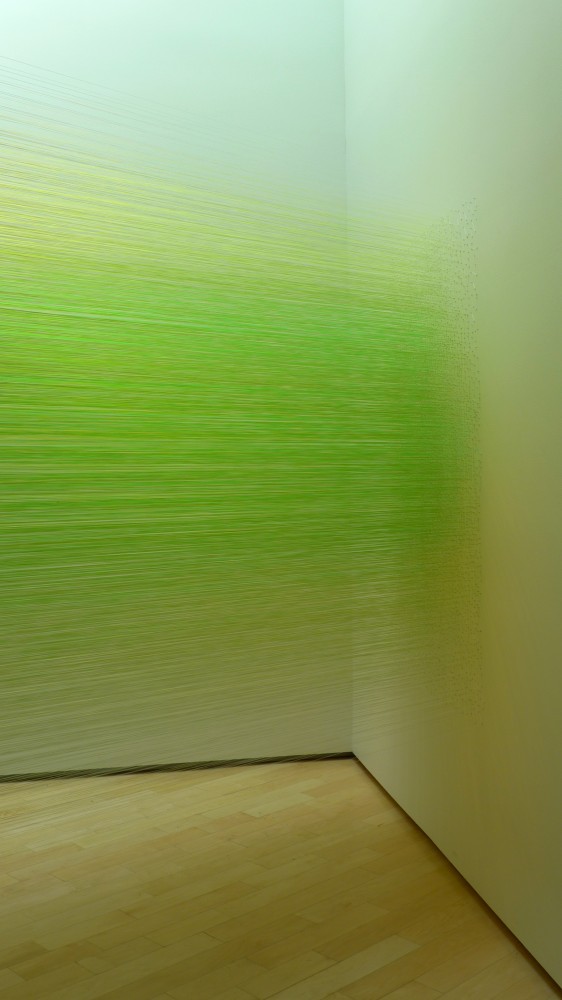 Anne Lindberg Transforming Space with Thread