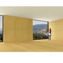 FFTT OPT 2 + 3 INTERIOR FLAT Courtesy of Michael Green Architecture