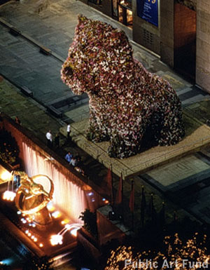 photo_koons_00_view3_385x300w