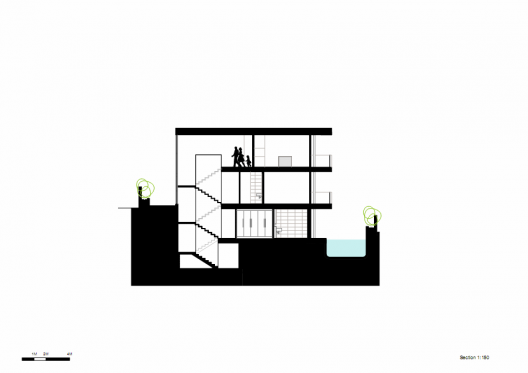 section
