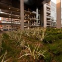 North Almagro Campus Building / Marsino Arquitectos Asociados North Almagro Campus Building / Marsino Arquitectos Asociados © Aryeh Kornfeld