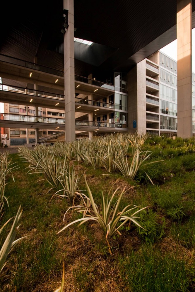 North Almagro Campus Building / Marsino Arquitectos Asociados