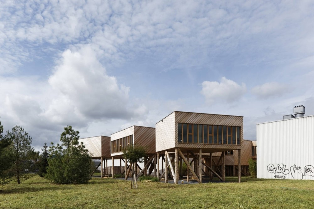 Branched Offices / Projectiles