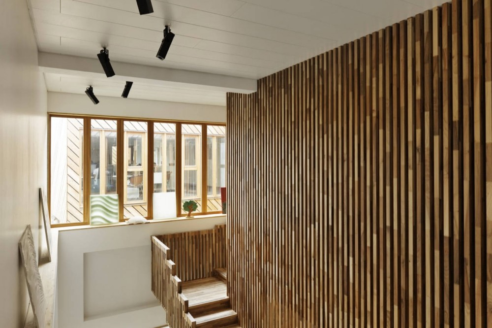 Branched Offices / Projectiles