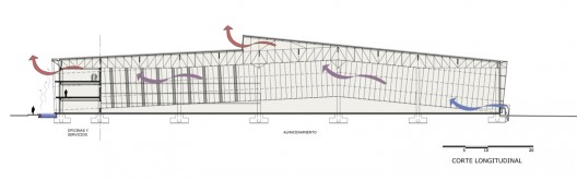 section