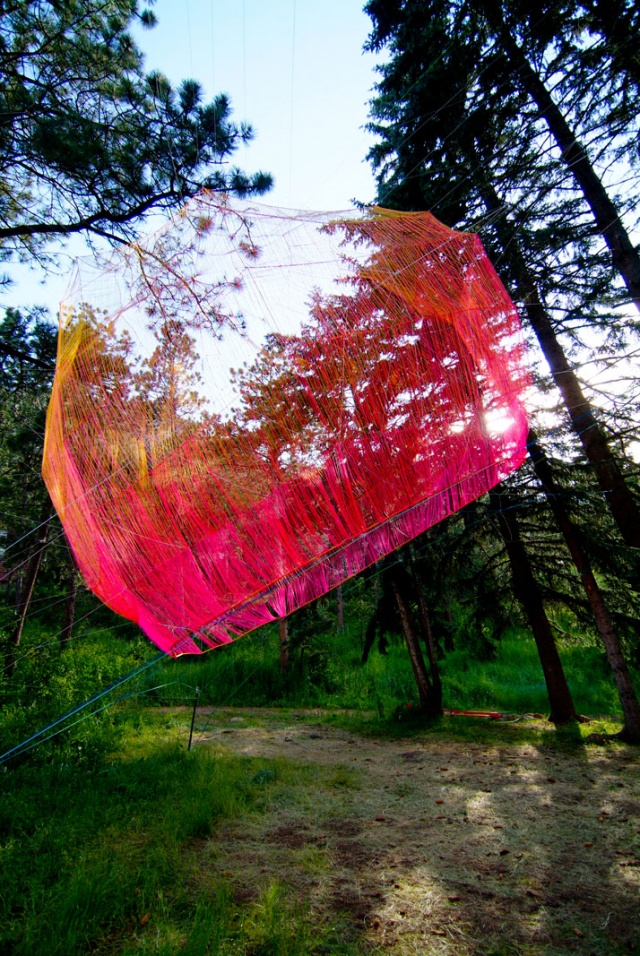 AA Visiting School: Marking the Forest
