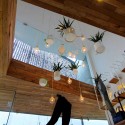 Denimdenim / Word of Mouth Architecture © Courtesy of Word of Mouth Architecture