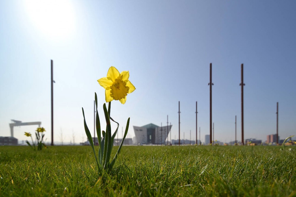 Titanic Belfast / CivicArts & Todd Architects
