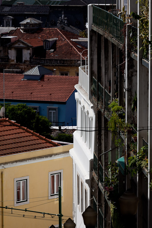 Building Rehabilitation In Calcada do Lavra / Jorge Mealha