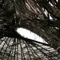 Mud Structure (5) Mud Structure (5) © Mahsa Masoudi